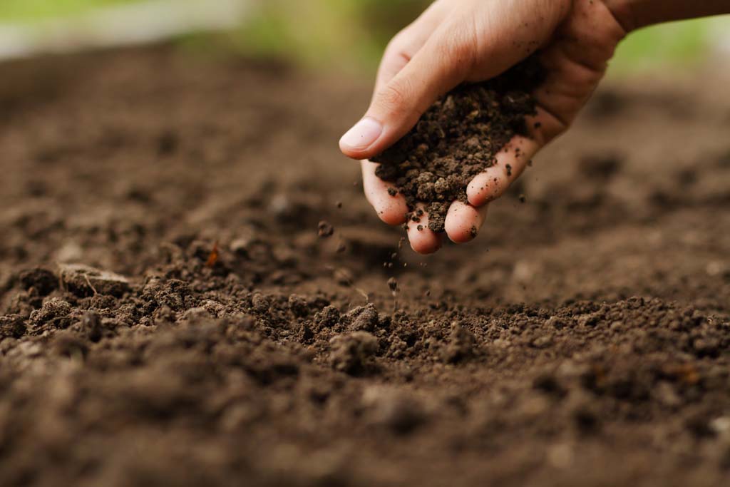 माती व्यवस्थापन: एक सुसूत्रित दृष्टिकोन आहे